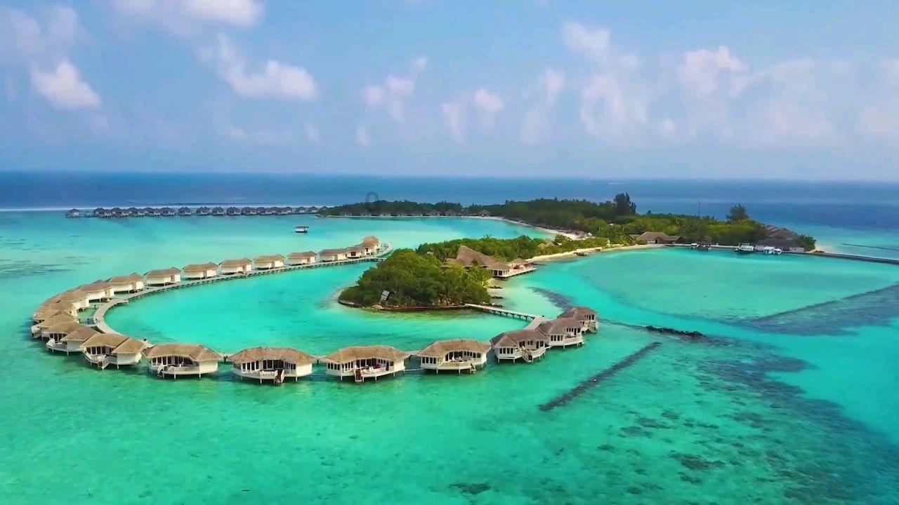 鲜奶运输车找不同