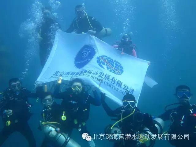 伯斯森林逃生