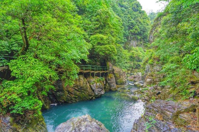 你能逃离此地吗