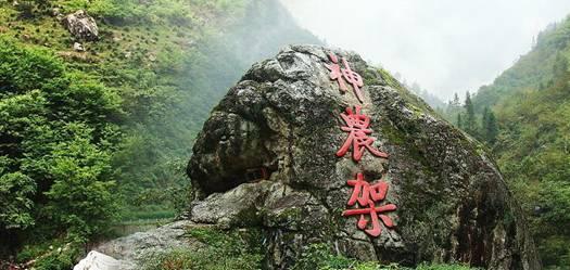 ”见行见效 津彩绽放”活动参赛作品：糖果甜甜