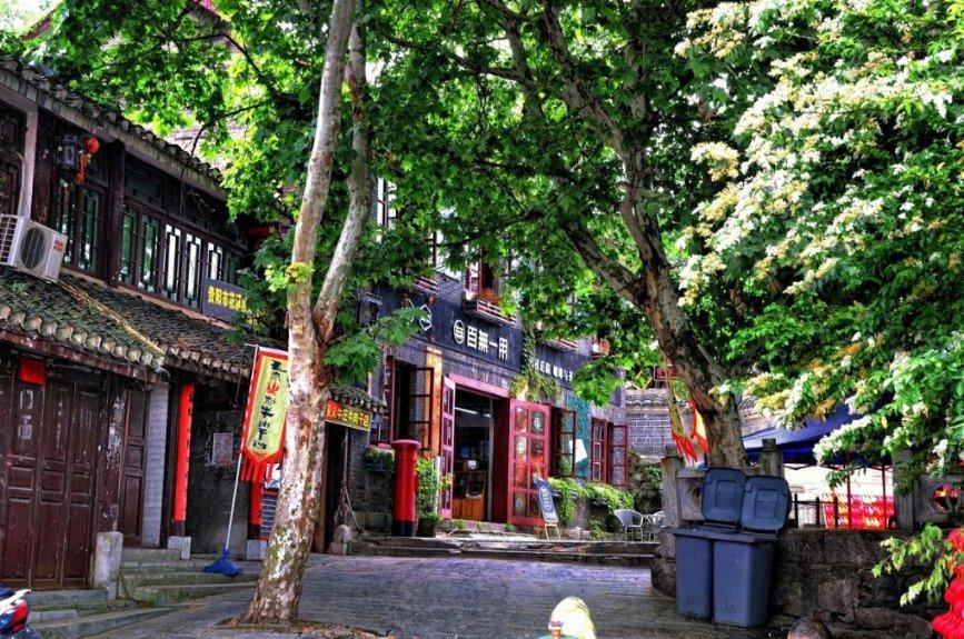 消逝的光芒：信徒