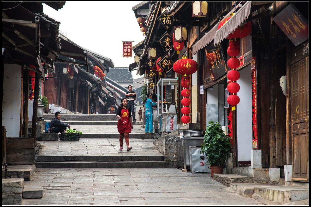 漂亮鹦鹉救援