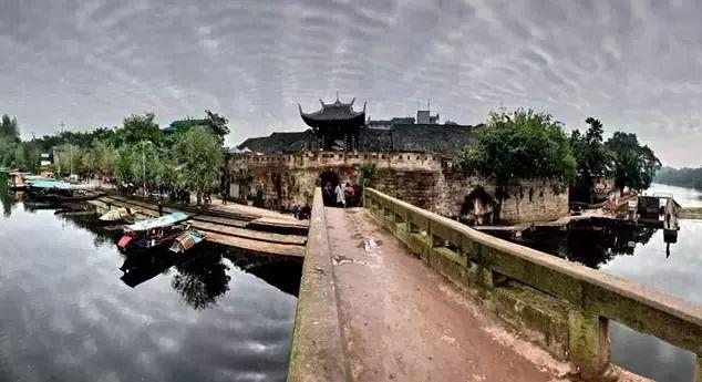 救援小橘猫