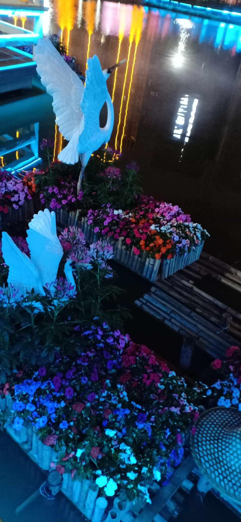 逃离诡异的森林